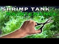 Shrimp Tank Maintenance and Update