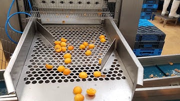 apricot format on K8 & K7 peach pitters