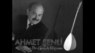 Severim Ahıskayı - Ahmet Şenli Resimi