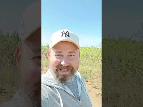 Куда можно поехать в отпуск из России без загранпаспорта #путешествия