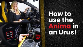 How To Use The Anima Settings In My Lamborghini Urus!