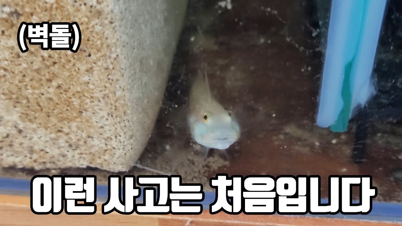 Я спас его от клинической смерти.