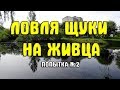 Ловля щуки на живца поплавочной удочкой дальнего заброса. Второй выход