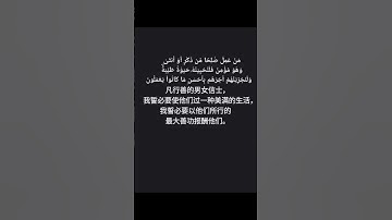 القرآن الكريم   古兰经           ‏اللغة الصينيه  中文