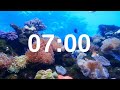 7 minute timer relaxing music lofi fish background