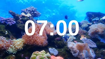 7 Minute Timer Relaxing Music Lofi Fish Background