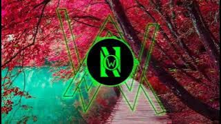 Alan Walker - Impossible [Nation Of Walkers]