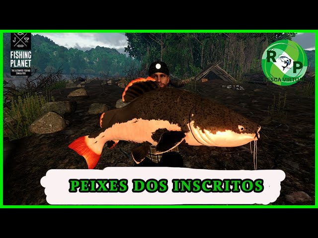 GRUPO DO DISCORD DE FISHING PLANET PT-BR - Problemas diversos - Fishing  Planet Forum