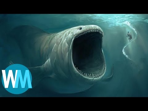 Vidéo: Dans L'Arctique, Les Sons Mystérieux Du Fond De L'océan Ont Effrayé Les Poissons Et Les Animaux - Vue Alternative