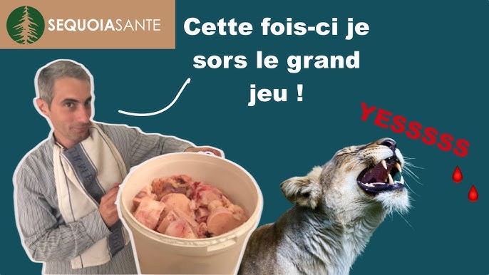 Faites votre Graisse de Bœuf (suet) maison : Recette pas chère, facile  et SANTÉ ! 