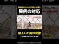【侵入した男の映像】バンチ君のサル山に外国人が侵入…挑発する男に警察が実行した異例の対応とは？ 千葉 #shorts