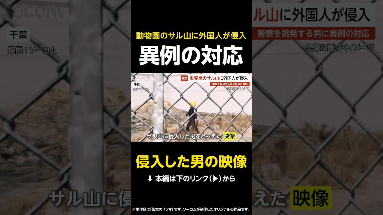 【侵入した男の映像】バンチ君のサル山に外国人が侵入…挑発する男に警察が実行した異例の対応とは？ 千葉 #shorts