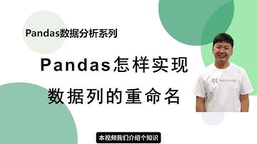 【Pandas系列】16 Pandas怎样实现数据列的重命名