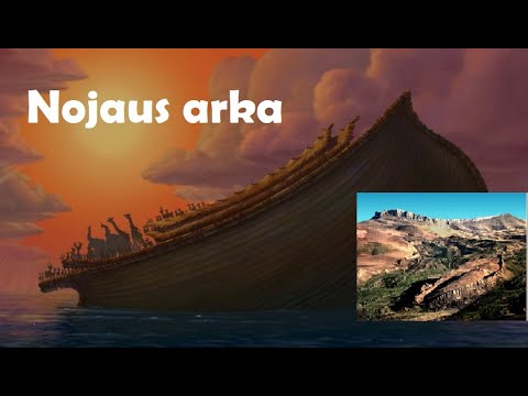 Video: Olandas Pastatė Tikslią Nojaus Arkos Kopiją - Alternatyvus Vaizdas