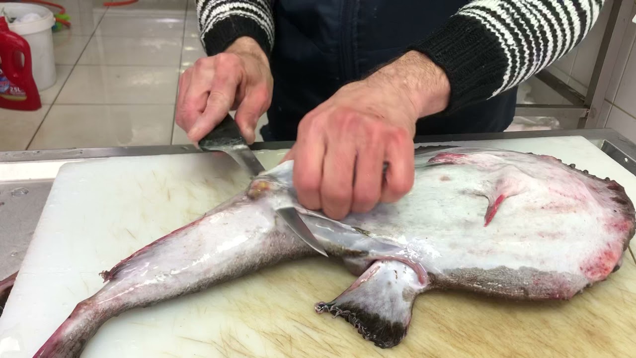 fener baligi nasil temizlenir how to fillet anglerfish monkfish youtube