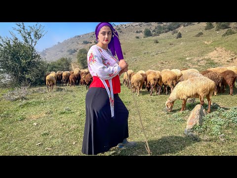 IRAN nomadic life | daily routine village life of Iran | Nomadic lifestyle of Iran