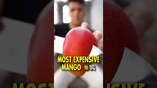 Most Expensive Mango in the World