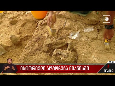 ისტორიული აღმოჩენა დმანისში