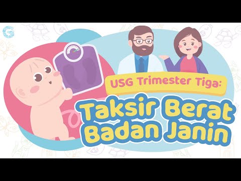 Video: Kapan hamil tiga trimester?