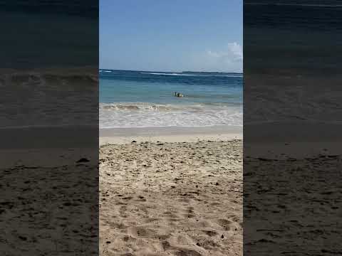 Video: Holguini rannad