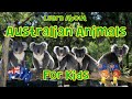 Australian animals for kids review quiz edition  4k