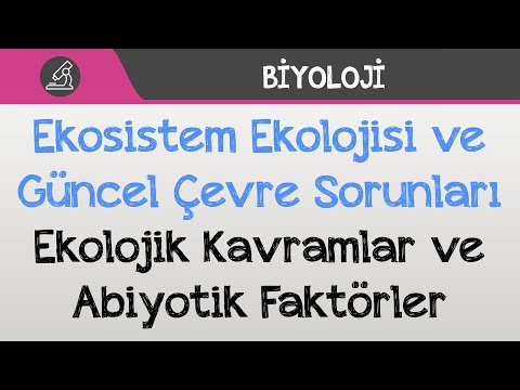 Ekosistem Ekolojisi ve Güncel Çevre Sorunları - Ekolojik Kavramlar ve Abiyotik Faktörler