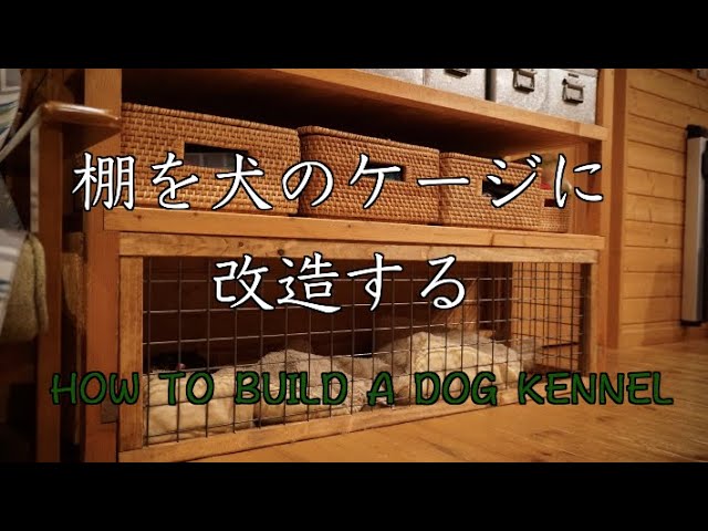 Diy 棚を犬のケージに改造する How To Build A Dog Kennel Youtube