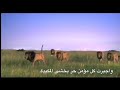 اجبرتني ظروفي نتقي شر الاعدا اجبرتني ظروفي نتقي شر الاعدا