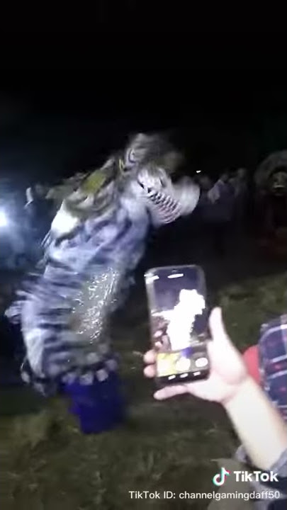 Barengan asu bajingan