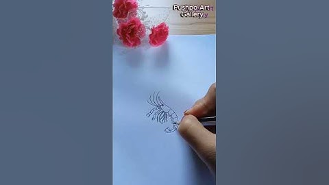 How to Draw a Prawn (Chingri Mach) Step by Step | Easy Sketch