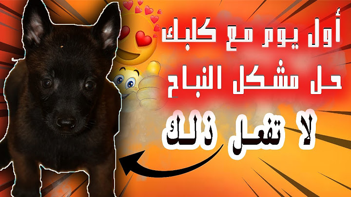 أول يوم مع كلبك فالدار |عنداك دير هاد الأخطاء..⛔