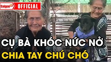 Xúc động cụ bà KHÓC NỨC NỞ, tạm biệt chú chỏ nhỏ vì không đủ khả năng nuôi dưỡng