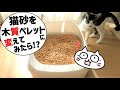 猫砂を木質ペレットに変えてみたら経費が〇〇円も下がった!?メリットやデメリットは？