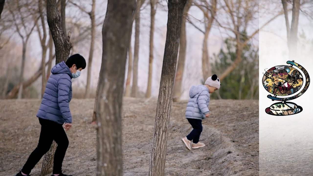 Film backdrop image for The Chinese Children Kidnapped by their Parents (2022)