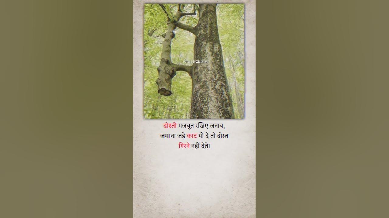 Pedh Ki Majbuti tree jayshreeram YouTube amisha-patel-ki-life-kaisi-rahi-youtube