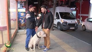 Hayvan Sevgisi Üzerine Muhteşem Bir Röportaj Hayvan Sevgisi Üzerine Muhteşem Bir Röportaj