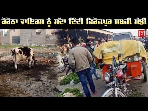 Ferozepur ਵਾਸੀਆਂ ਨੂੰ ਨਹੀਂ ਕੋਰੋਨਾ ਵਾਇਰਸ ਦਾ ਡਰ