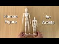 Human Figure Wooden Model 🏃🏻‍♂️ | Mannequin for Artist | 🖌🎨🧑🏼‍🎨