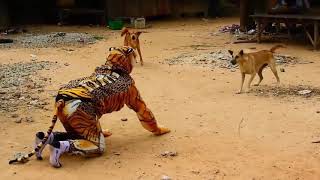 Wow Fake Tiger Prank Dog Very Funny 2021