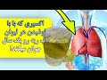 یکی از بهترین معجون ها برای پاکسازی دستگاه تنفسی و ریه ها 