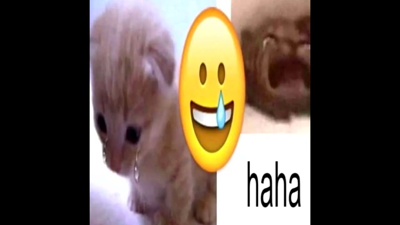 [FREE] MADK1D x JERK x METALCORE x ALTERNATIVE ROCK type beat - "J@RK