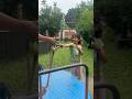 National Park 🍓 Wait For End #explore #shortvideo #trendingshorts #viralvideos
