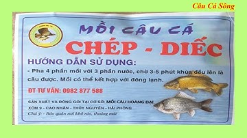 Câu Đài Miền Bắc | Mồi câu cá diếc - chép sông hồ tự nhiên