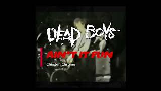 Watch Dead Boys Aint It Fun video