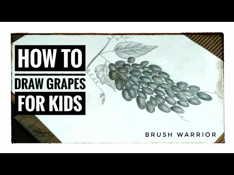 How to draw grapes for kids | Brushwarrior - YouTube