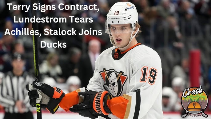 Ducks' Terry Deserves Payday in Impending Free Agency