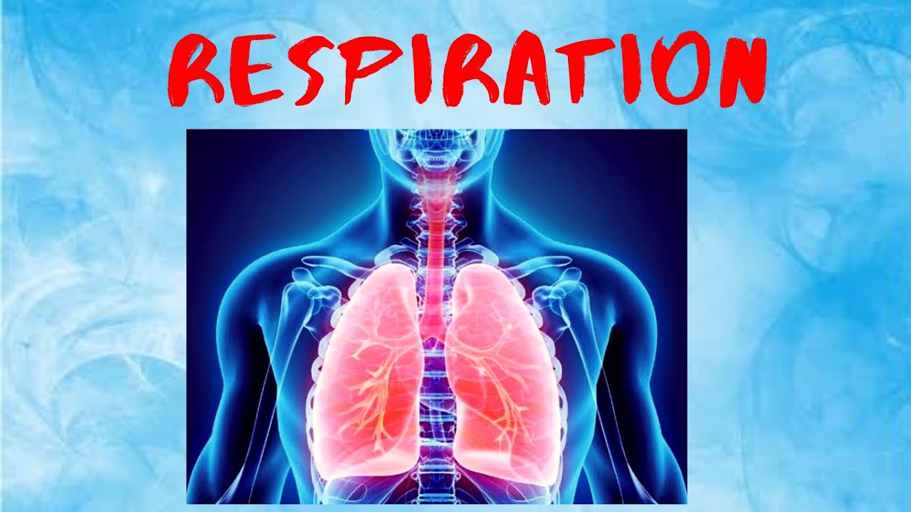 case study on respiration class 10