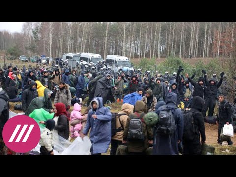 Тысячи мигрантов прорывают границу Беларуси с Польшей, слышны выстрелы. Зачем Лукашенко обострение?