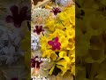 #subscribe#youtuber #newvideo #youtube #youtubeshorts #onam #shortscraft#short#viral#viralshorts#