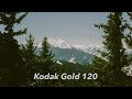 A Kodak Gold Road Trip